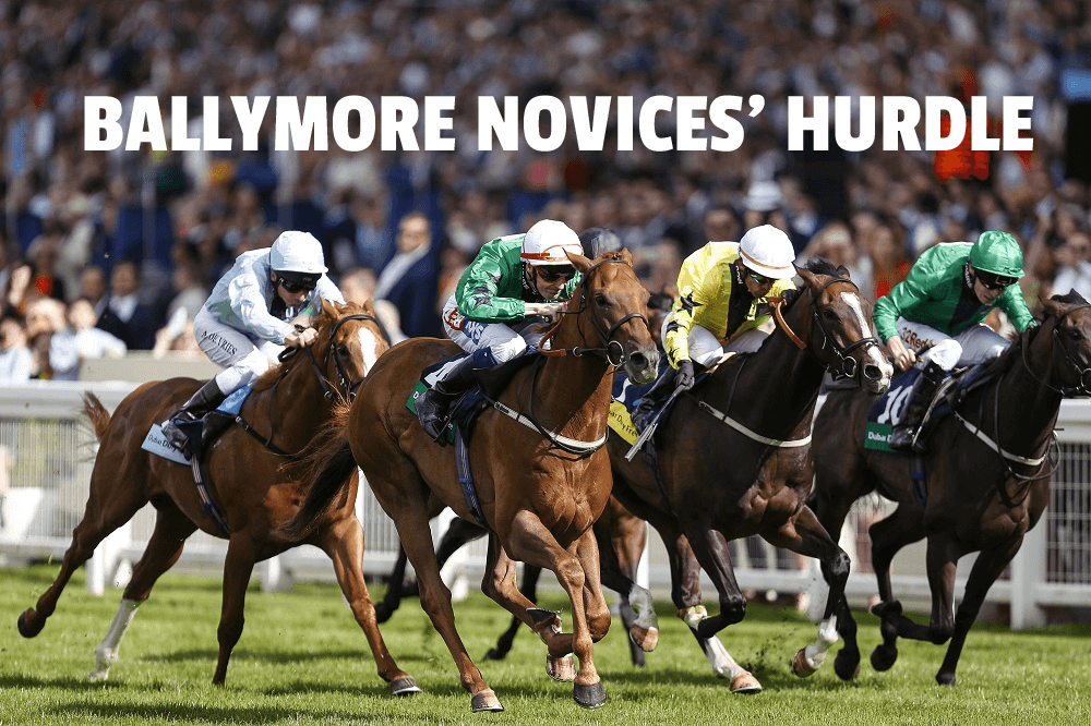 ballymore novices' hurdle