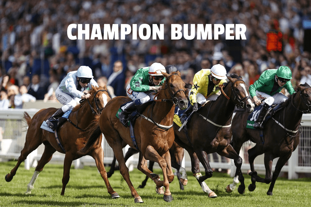 champion bumper