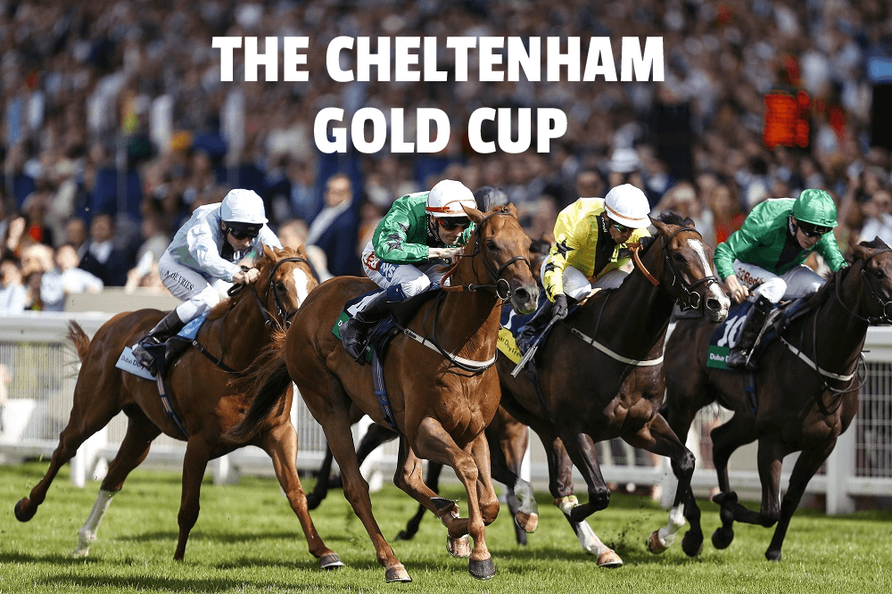 cheltenham gold cup