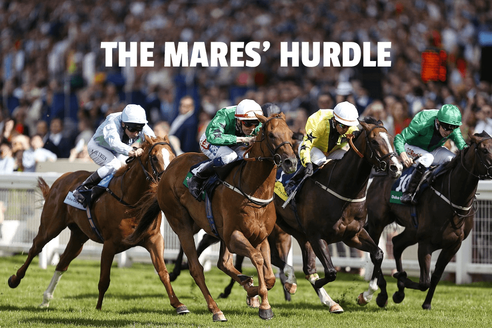 mares' hurdle
