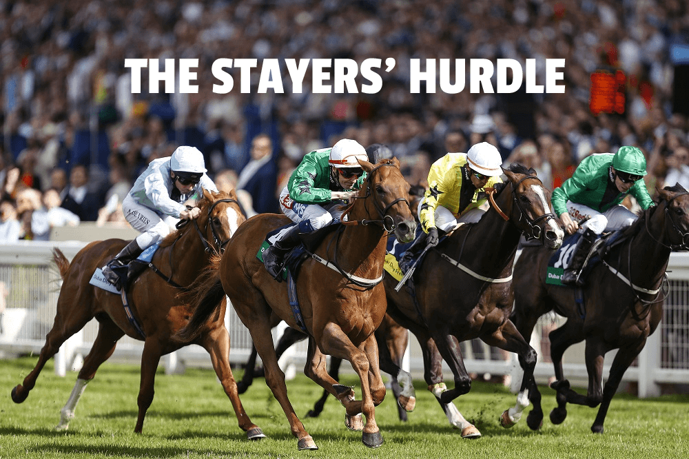 stayers' hurdle