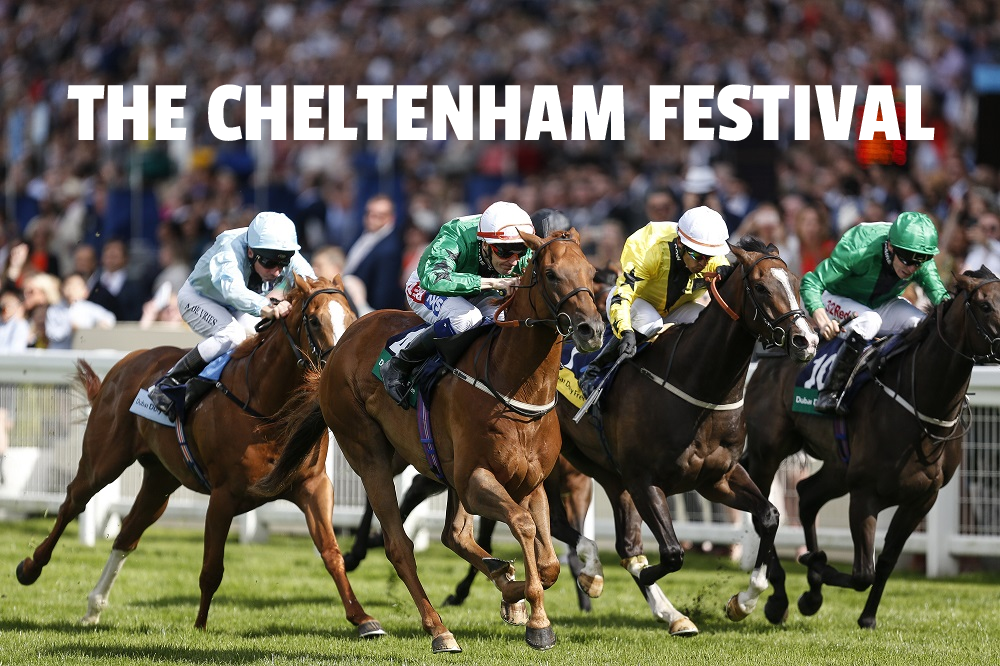 the cheltenham festival