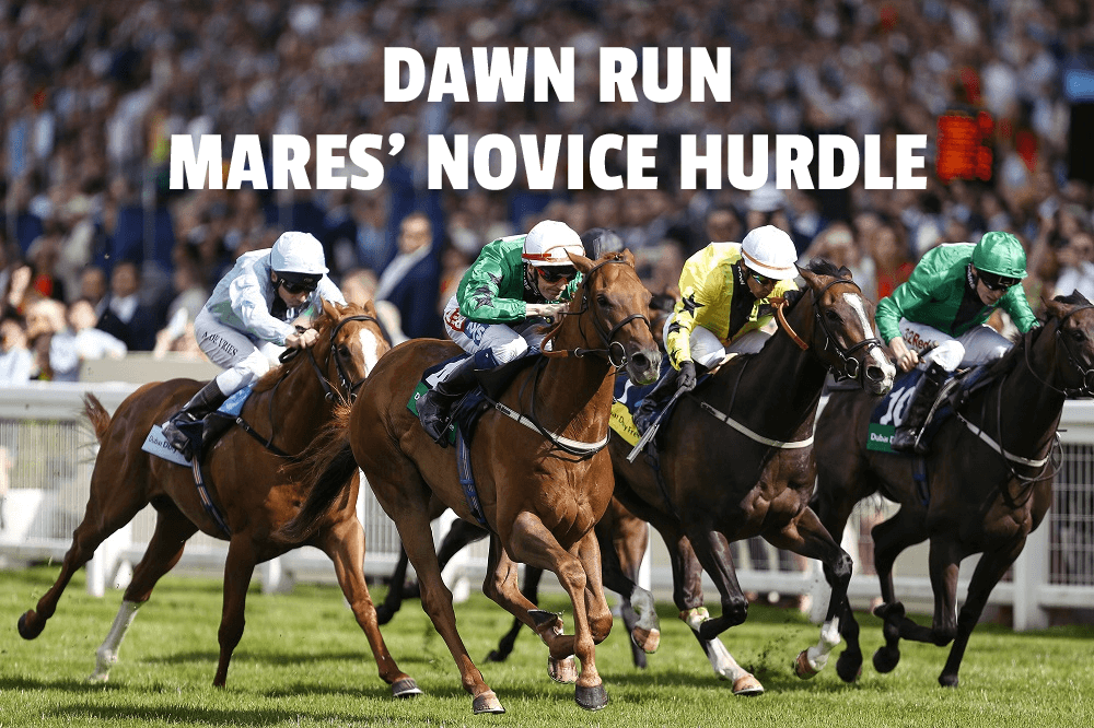 Dawn Run Mares' Novice Hurdle
