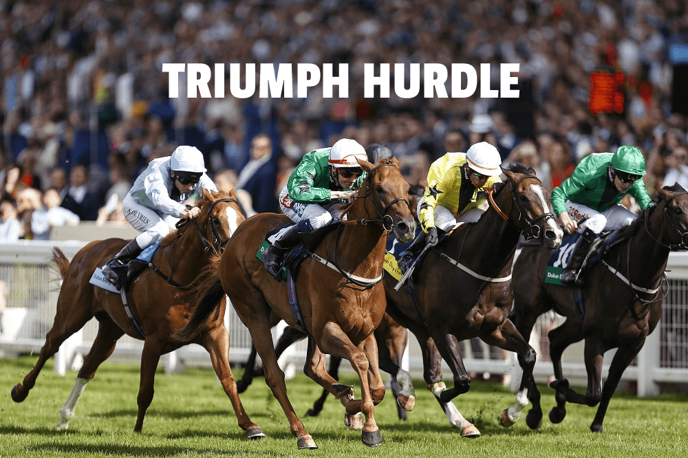 triumph hurdle
